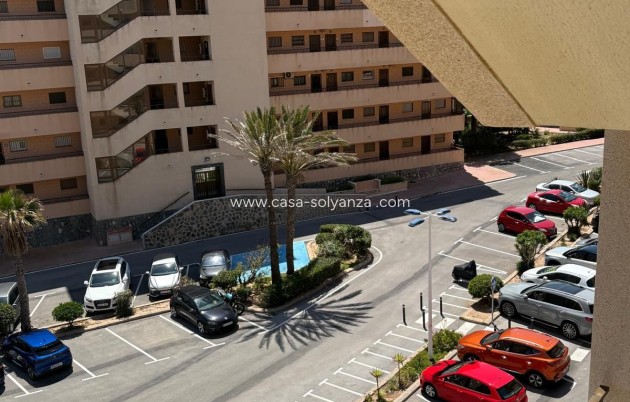 Resale - Apartment / flat - Torrevieja - Torrevieja Centro