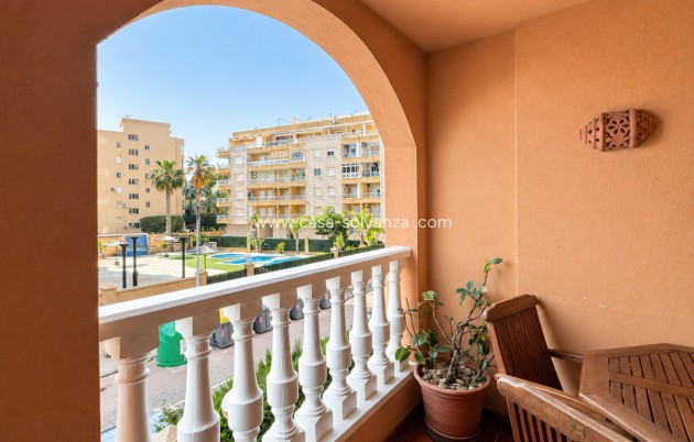 Herverkoop - Appartement / flat - Torrevieja - Playa de los Locos