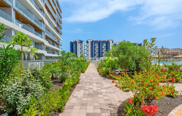 Resale - Apartment / flat - Orihuela - Punta Prima