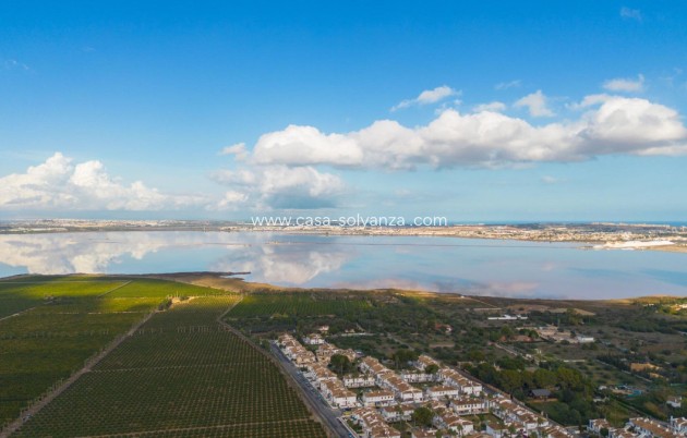 Herverkoop - Appartement / flat - Torrevieja - Torrevieja Centro
