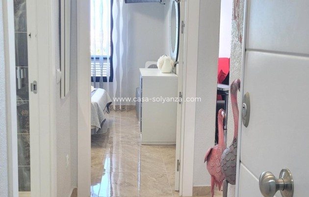 Herverkoop - Appartement / flat - Torrevieja - La Mata