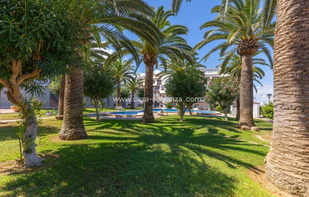 Herverkoop - Appartement / flat - Torrevieja - La Mata
