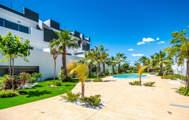 Reventa - Apartamento / piso - Torrevieja - Torrevieja Centro