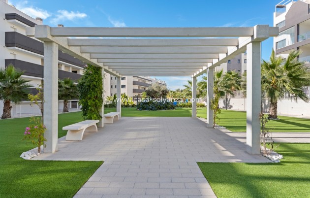 Wiederverkauf - Wohnung - Orihuela - Villamartin
