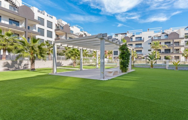 Wiederverkauf - Wohnung - Orihuela - Villamartin