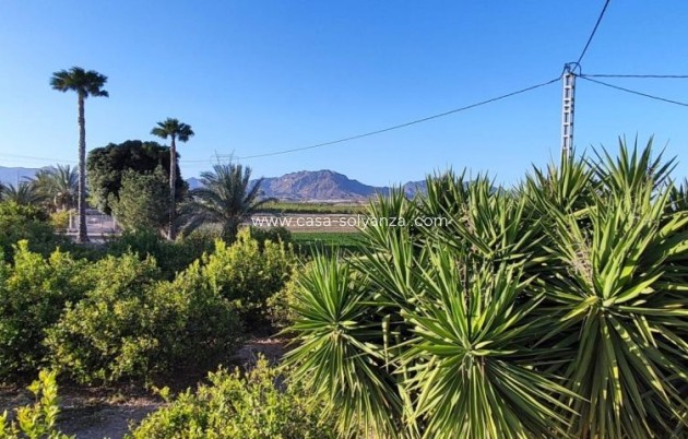 Wiederverkauf - Country Property/Finca - Orihuela - Inland