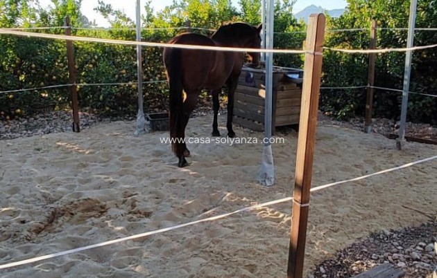 Wiederverkauf - Country Property/Finca - Orihuela - Inland