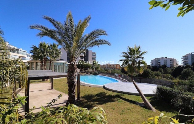 Wiederverkauf - Wohnung - Orihuela - Villamartin