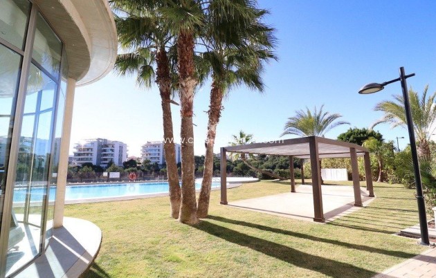 Wiederverkauf - Wohnung - Orihuela - Villamartin