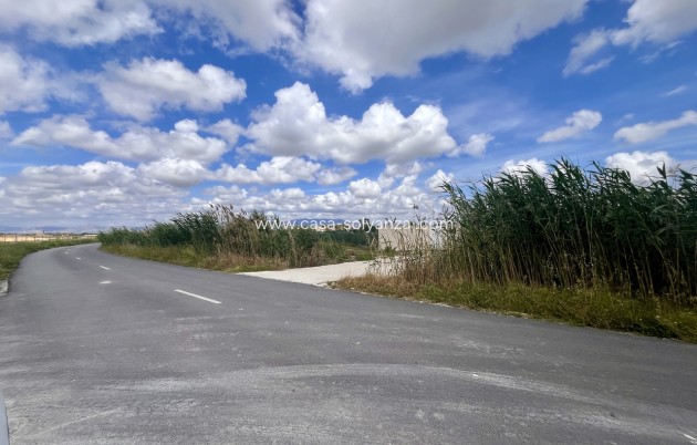 Wiederverkauf - Land - Catral - Costa Blanca