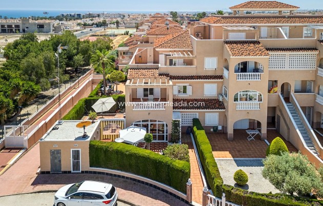 Revente - Maison de ville - Playa Flamenca - Costa Blanca
