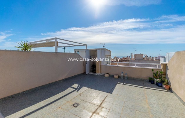 Resale - Apartment / flat - Torrevieja - Torrevieja Centro