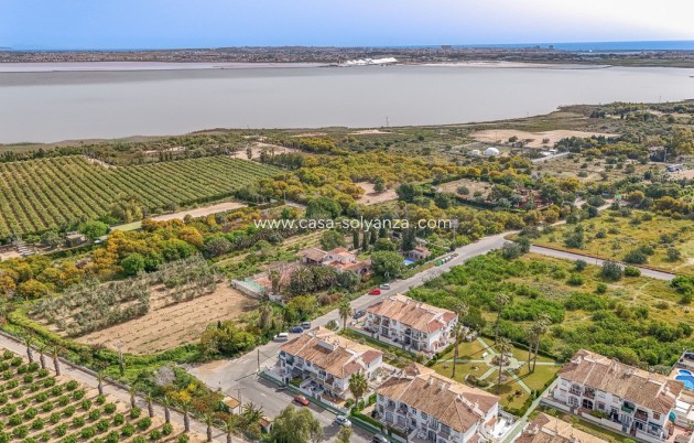 Resale - Apartment / flat - Torrevieja - Lago jardin