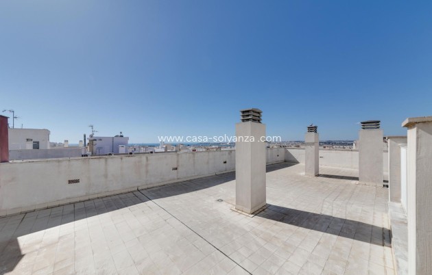 Reventa - Apartamento / piso - Torrevieja - Torrevieja Centro