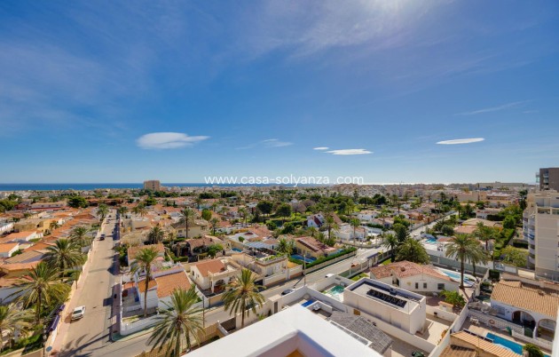 Revente - Appartement - Torrevieja - Torrevieja Centro