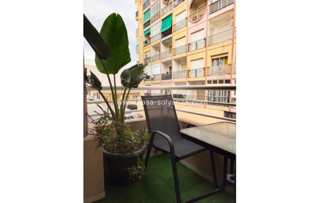 Herverkoop - Appartement / flat - Torrevieja - Torrevieja Centro