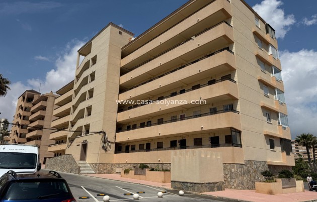 Resale - Apartment / flat - Torrevieja - Torrevieja Centro