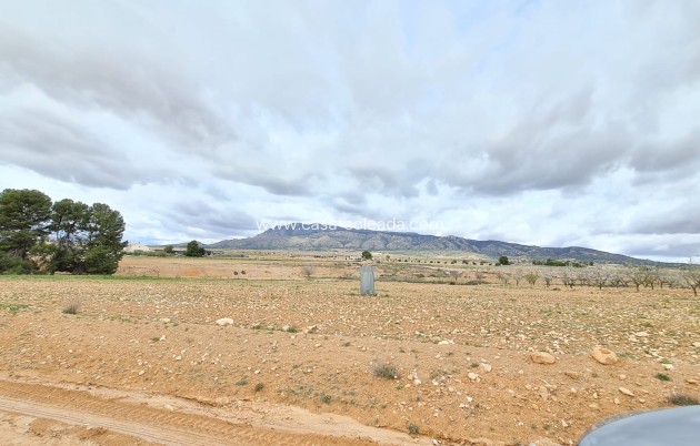 Revente - Villa - Torre Del Rico - Inland