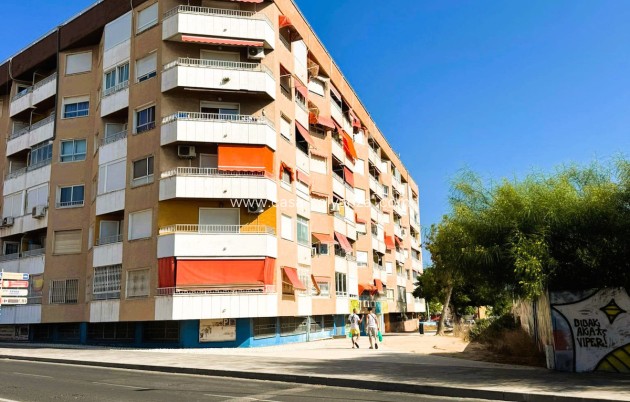 Reventa - Apartamento / piso - Torrevieja - Torrevieja Centro