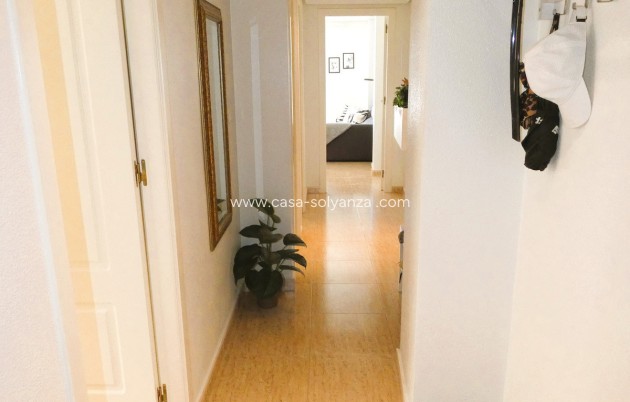 Herverkoop - Appartement / flat - Torrevieja - Torrevieja Centro