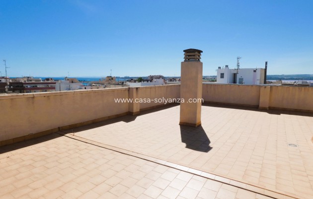 Herverkoop - Appartement / flat - Torrevieja - Torrevieja Centro