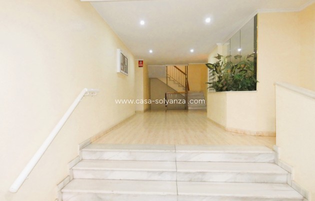 Herverkoop - Appartement / flat - Torrevieja - Torrevieja Centro