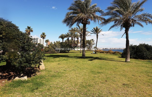 Revente - Appartement - Torrevieja - Costa Blanca