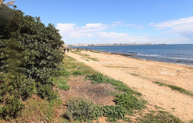 Revente - Appartement - Torrevieja - Costa Blanca