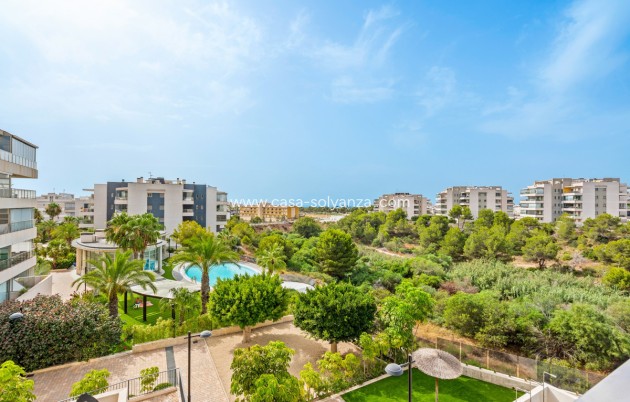 Herverkoop - Appartement / flat - Orihuela - Villamartin
