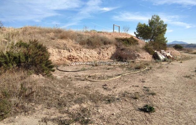 Resale - Country Property/Finca - Jumilla - Inland