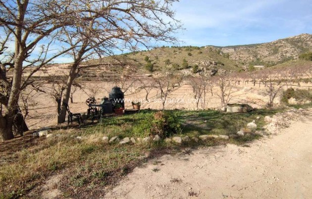 Resale - Country Property/Finca - Jumilla - Inland
