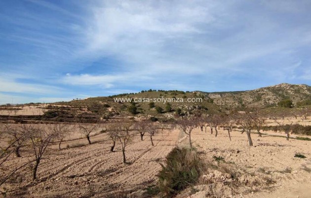 Resale - Country Property/Finca - Jumilla - Inland