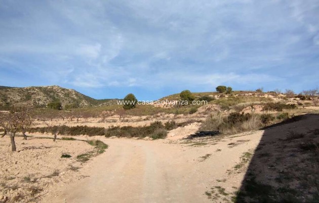 Resale - Country Property/Finca - Jumilla - Inland