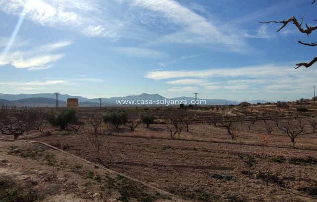 Resale - Country Property/Finca - Jumilla - Inland