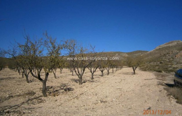 Reventa - Land - Yecla - Yecla Centro