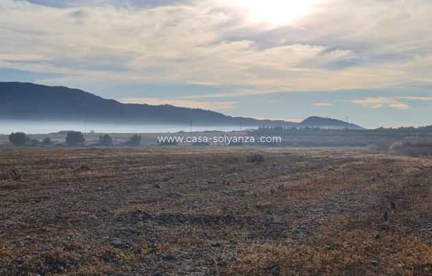 Resale - Land - Monóvar - Monòver - Monóvar - Monòver Centro