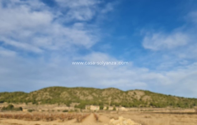 Resale - Land - Monóvar - Monòver - Monóvar - Monòver Centro