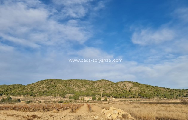 Resale - Land - Monóvar - Monòver - Monóvar - Monòver Centro