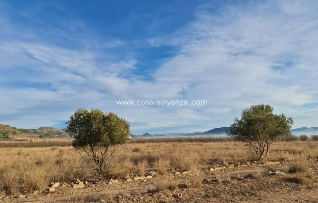 Resale - Land - Monóvar - Monòver - Monóvar - Monòver Centro