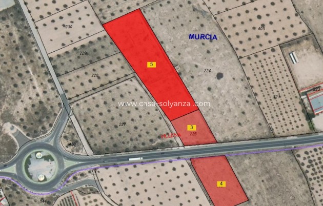 Resale - Land - Yecla - Yecla Centro