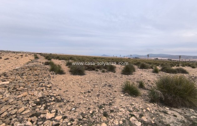 Resale - Land - Yecla - Yecla Centro