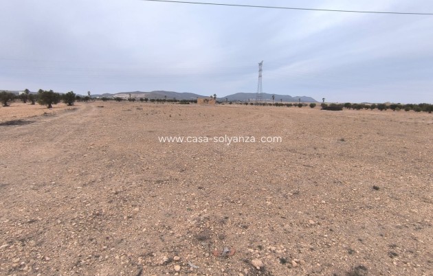 Resale - Land - Yecla - Yecla Centro