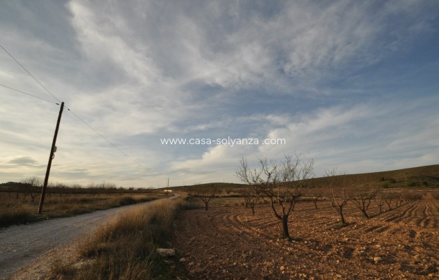 Resale - Land - Abanilla - Abanilla Centro