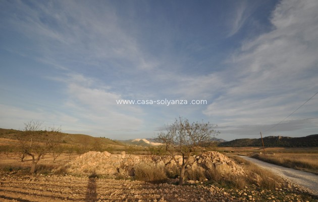 Resale - Land - Abanilla - Abanilla Centro