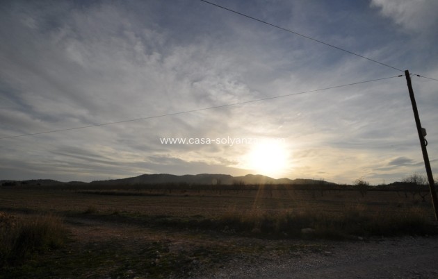 Resale - Land - Abanilla - Abanilla Centro