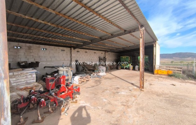 Resale - Country Property/Finca - Yecla - Yecla Centro