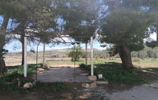 Resale - Country Property/Finca - Yecla - Yecla Centro