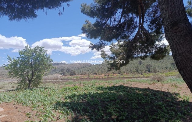 Resale - Country Property/Finca - Yecla - Yecla Centro