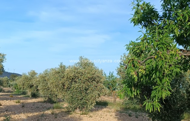 Resale - Country Property/Finca - Yecla - Yecla Centro