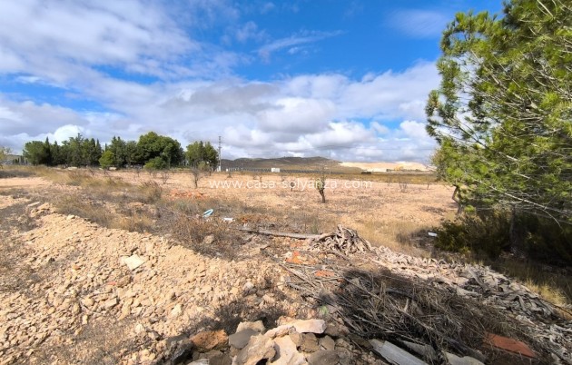 Herverkoop - Country Property/Finca - Yecla - Yecla Centro
